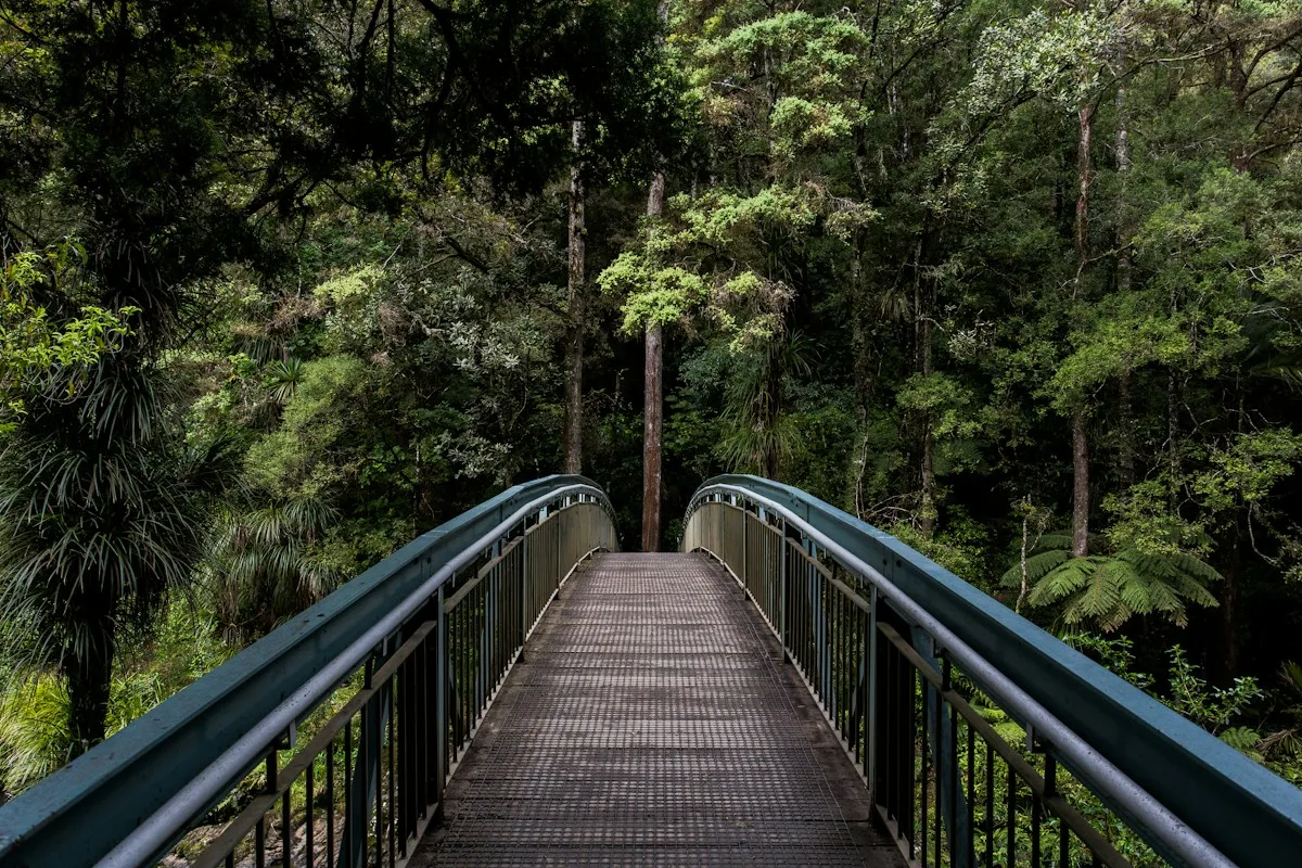 A bridge continuing through a forest